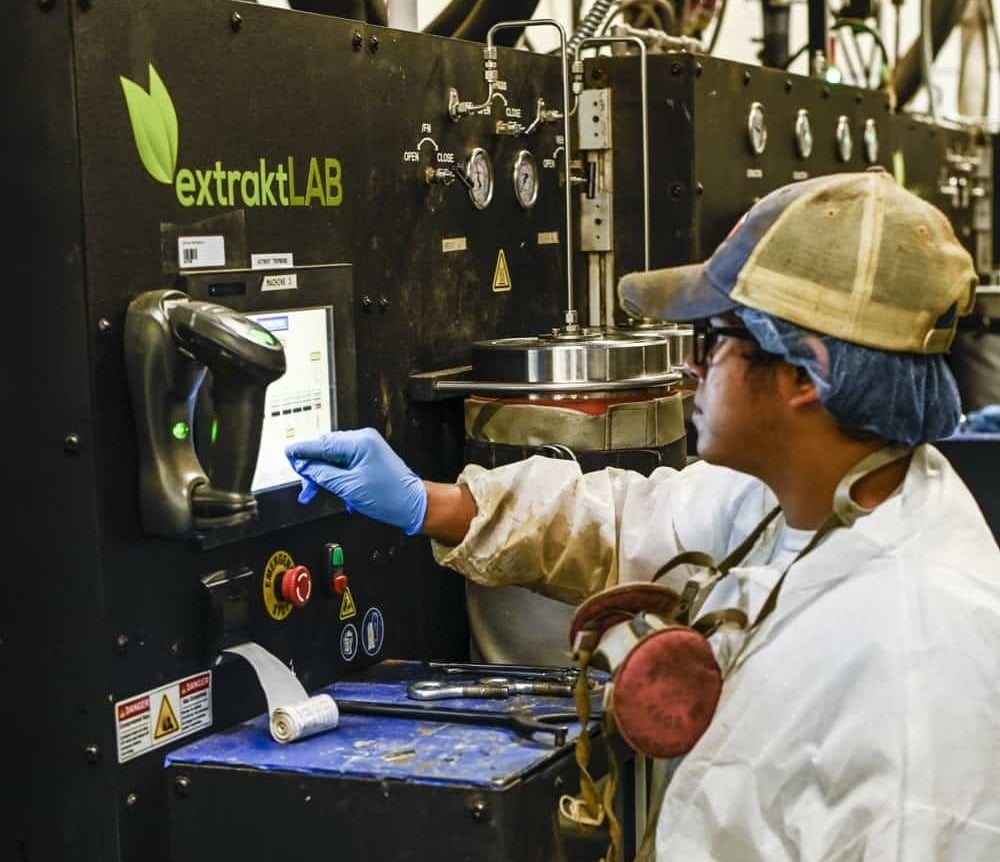 Start Up Your Hemp Oil Processing Equipment