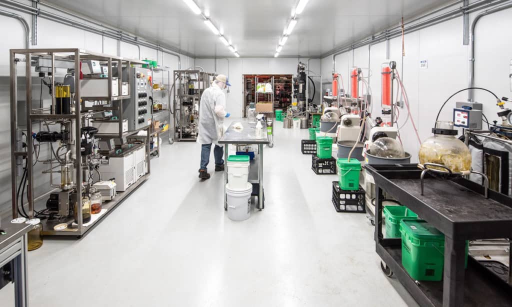 Man wearing PPE in hemp processing facility