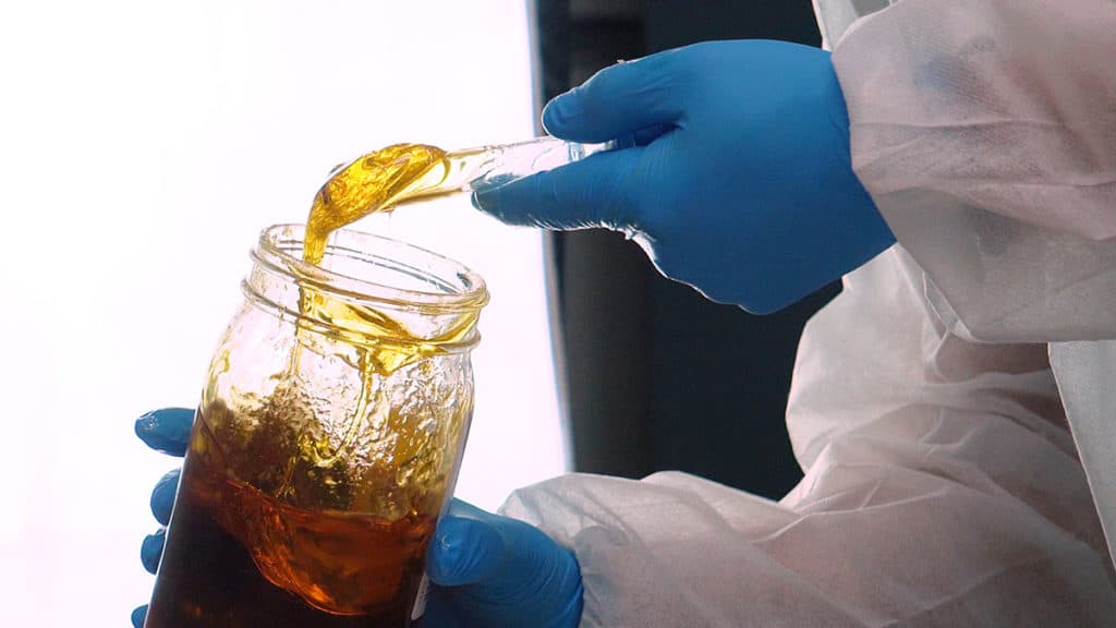 Gloved hand pulling CBD distillate from a jar