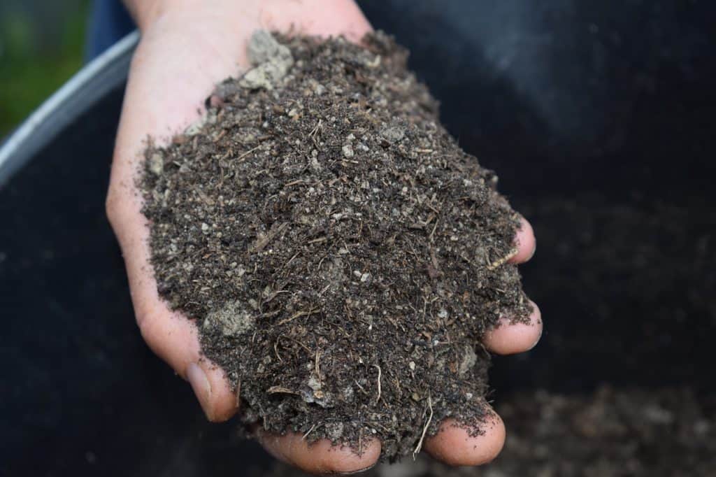 mulch for gardening
