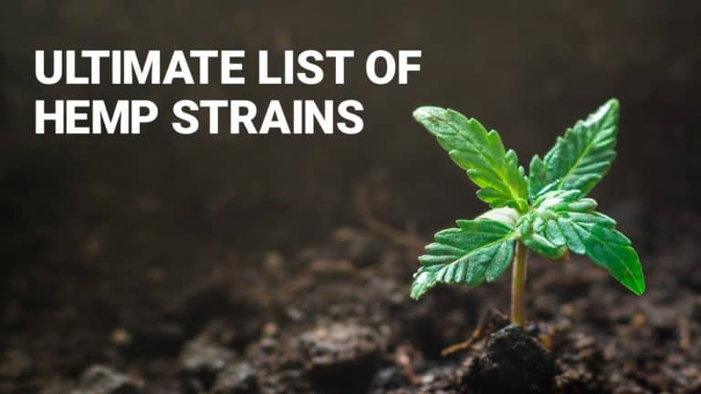 ultimate-list-of-hemp-strains