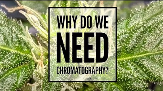 chromatography-explained