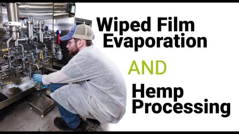 Wiped film evaporation and hemp processing