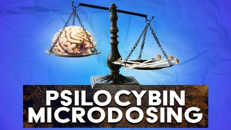 The Micro Dosing of Psilocybin Mushrooms