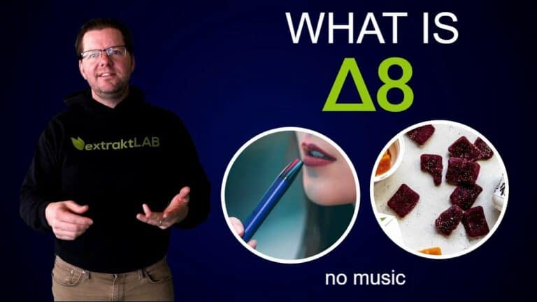 What Is Delta 8 THC?