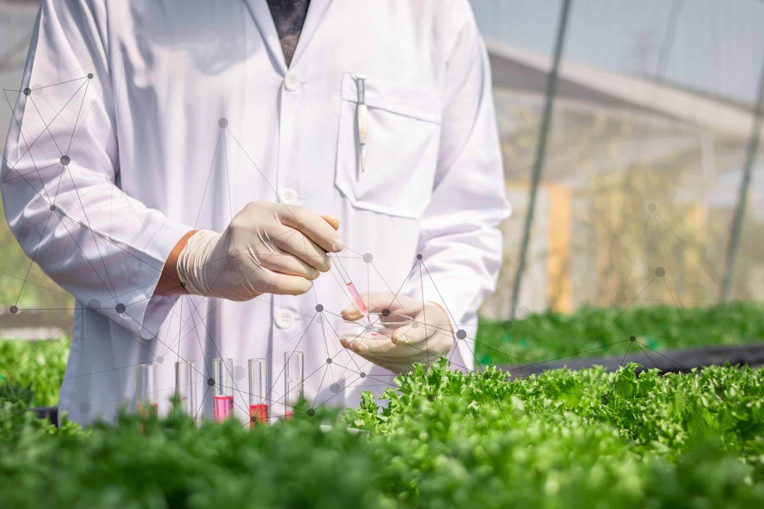 calculate sustainability