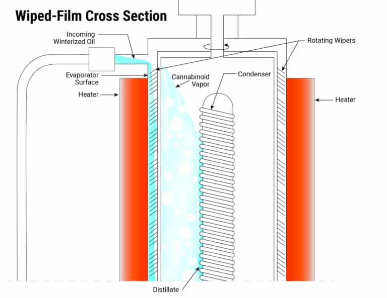 wiped film cross section