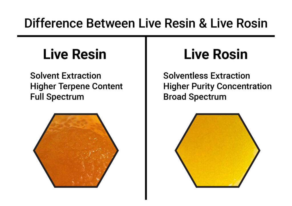 live resin and live rosin differences