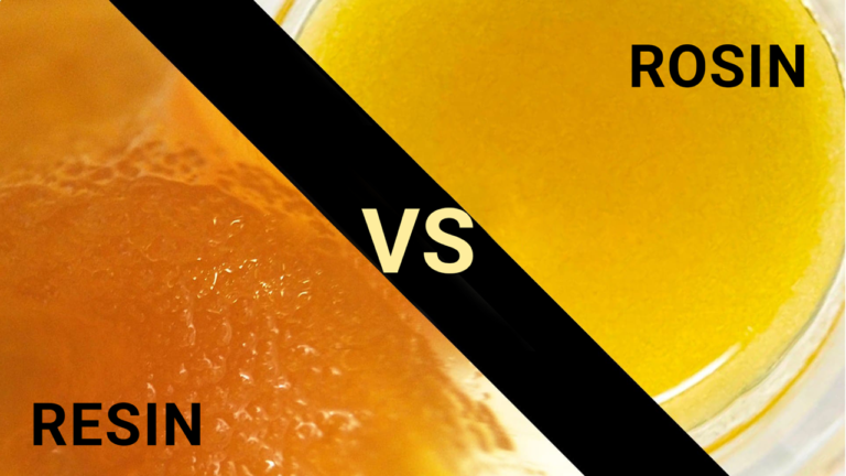 live resin vs rosin