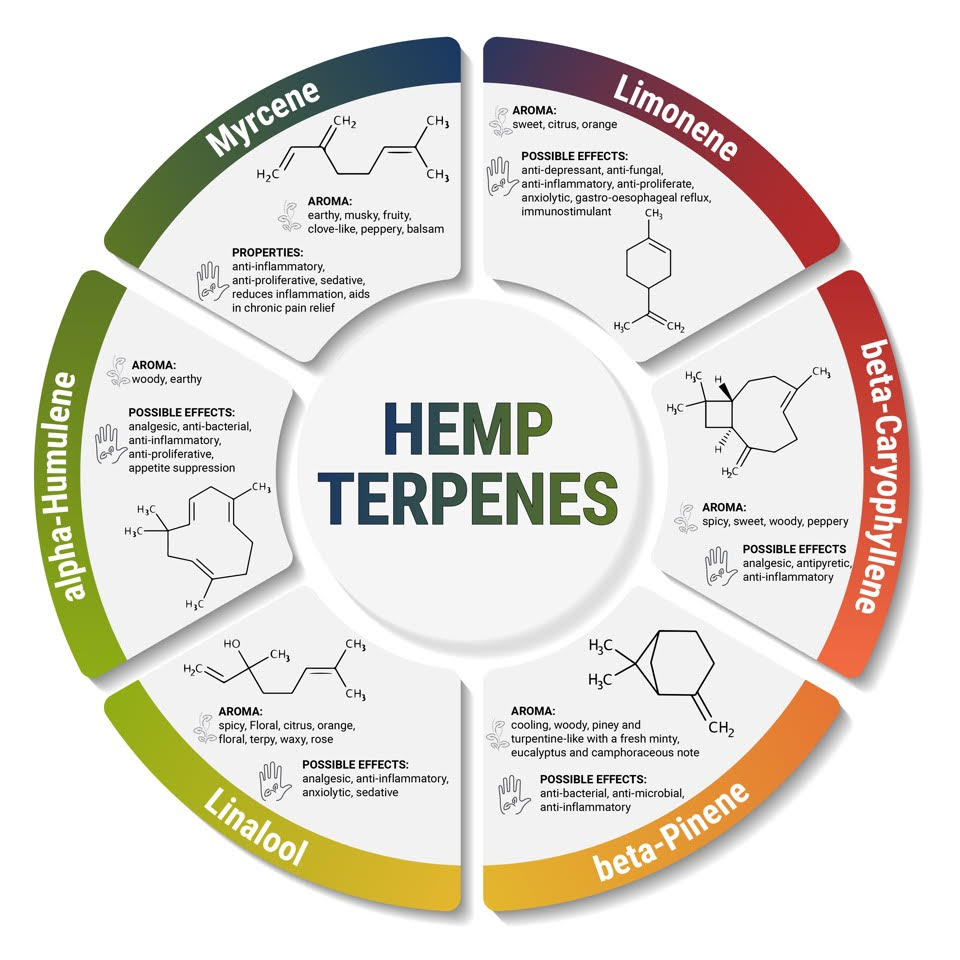 hemp terpenes