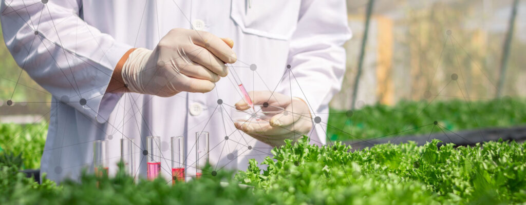 calculate sustainability cropped