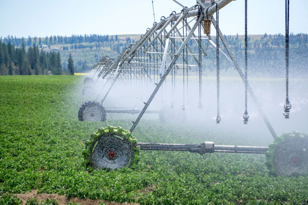irrigation