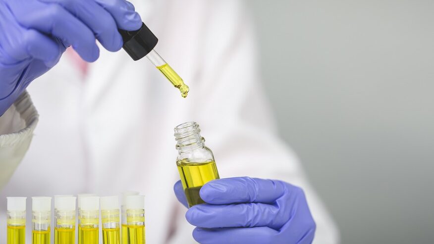 doctor hand holding bottle of cannabis oil in pipette, marijua