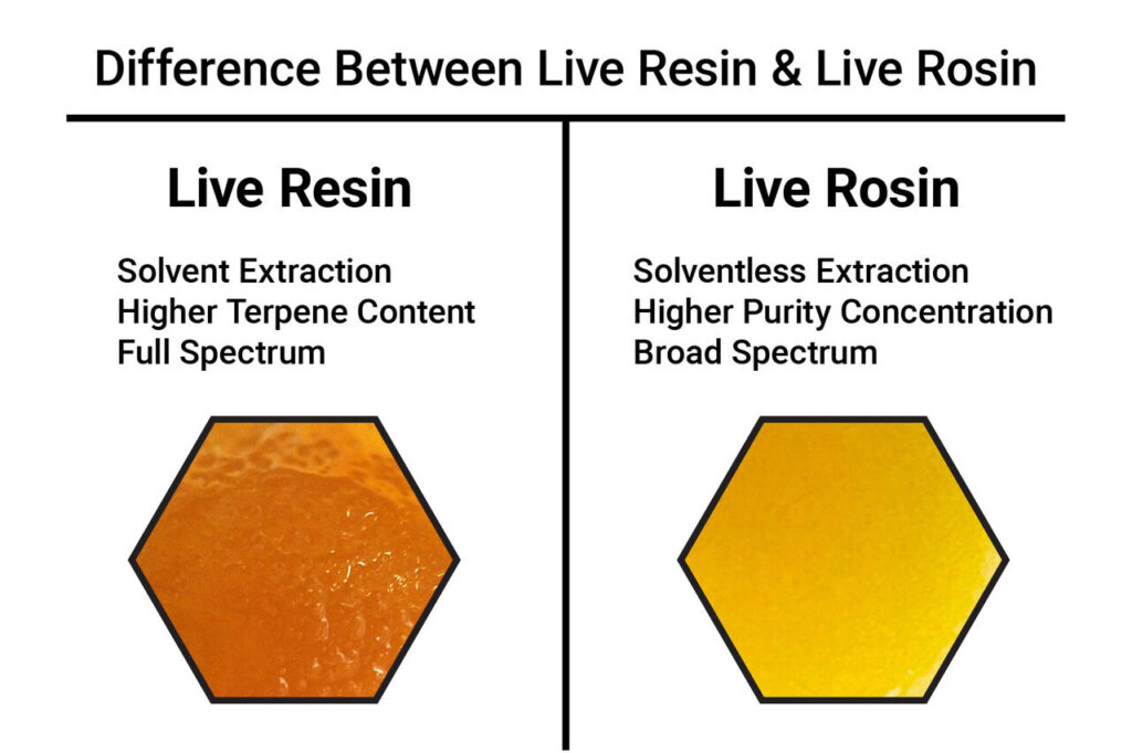 live resin and live rosin differences