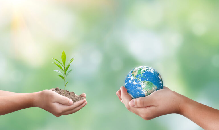 sustainability earth plants