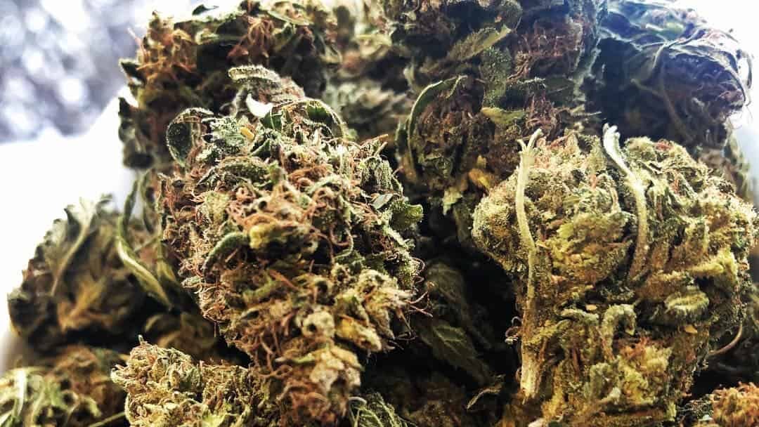 Smokeable hemp flower