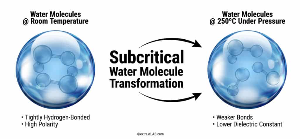 subcritical water molecule transformation