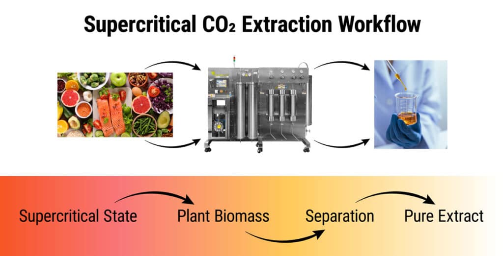 extraction process flow
